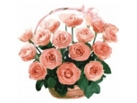 Blooms of Joy - 18 Stems Basket